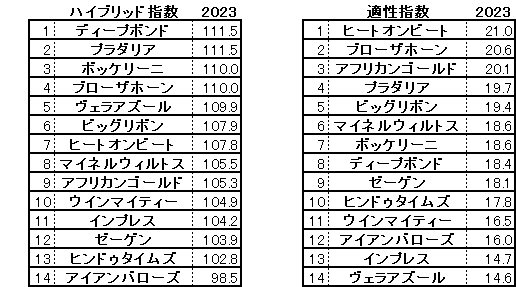 2023　京都大賞典　HB指数